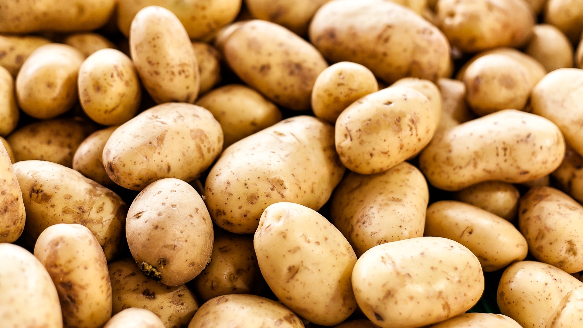 Potatoes Field